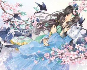樱桃影视传媒